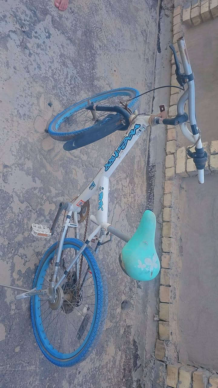 بايسكل حجم ٢٢ السعر ٥٠ الف الدوره اسيا


**إذا كنت صاحب هذا الإعلان وتريد حذفه لأي سبب، رجاءا أرسل رسالة إلى الدعم الفني**