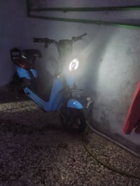 مراوس • بطة • للبيع