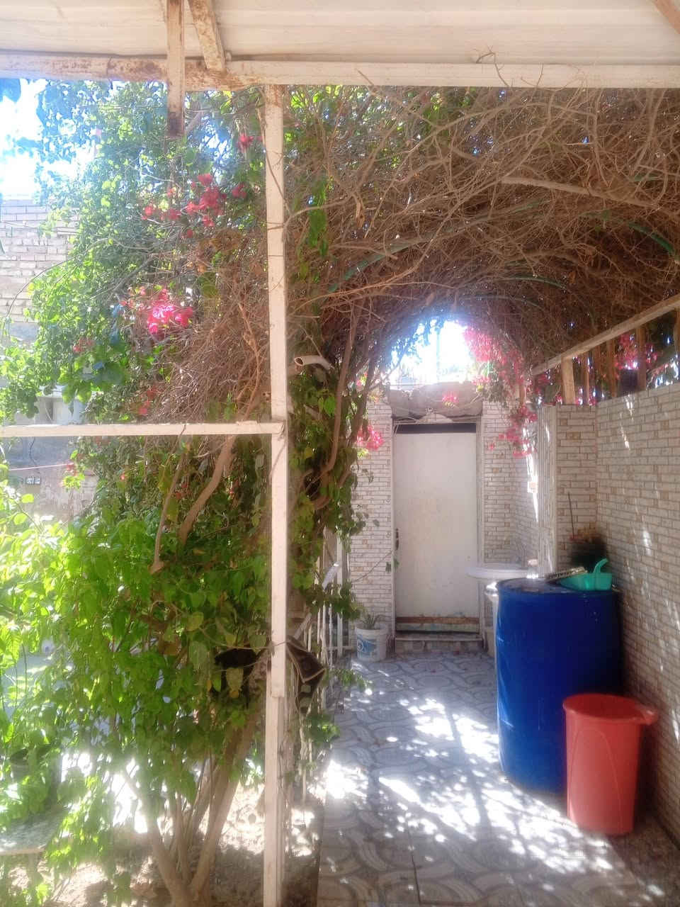 🧱 دار  للبــيع 🧱 طــــــابـــــــوصرف
#  طـــــــــــابقين 
ـــــــــــــــــــ
#المــــوقـــــع //الاكـــــــرمين
_________________
#االمساحــــــة //250م  
___________________
🔻 المحتويــــــات //
#الطابــــــــــــــق الأرضـــــــــي //
استقبــــال  وغــرف نـــوم عــدد 2 وهـــــــــــول ومطـــــــبخ ومجـمــــــــع صحـــــــــــيات وكــــراج  

 #الطابــــــــــــــق الثانــــــــــــي//
 غرفه نوم وهول ومجمع صحيات

🔻
______________________
للأستفســــار  عــــن السعـــــر يرجـــــى تـــــركـ تعليـــــق (السعـــــــــر) + رقـــم العـــرض داخـــل الصفحـــة وسيتـــم الـــــرد خــــاص
للأستفسار أكثر الاتصال او واتساب //  
📱***********
📱***********
                                          
او زيارة مكتب 🔻نبـــــــضـــــــــ بـــــــــابــــــــل للعقار  🔻
الكائن //  شارع الطــــــــمازيـــه مجــاور حلـويـات قصر الشام 
______________________
🔷 لمــــــن يــــــرغب فــــــي عــــــرض عقاره طابــــــو صــــــرف او زراعــــــي او تجــــــاري يرجــــــى مراســــــلتنا 🔷
