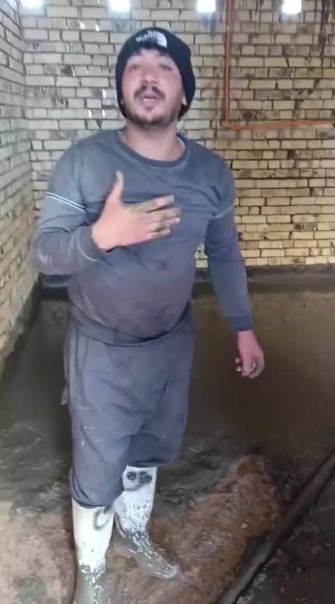 ***********
