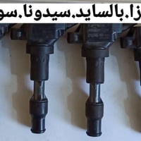 تفصيخ أصلي • وارد خليجي • بغداد المشتل