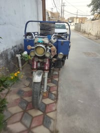 ستوته • فحل • كفاله عامه