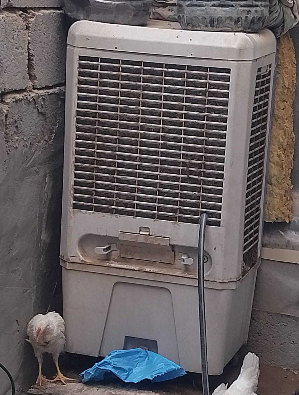 كونفيره شغاله مكانها الشريعه السعر 35


**إذا كنت صاحب هذا الإعلان وتريد حذفه لأي سبب، رجاءا أرسل رسالة إلى الدعم الفني**