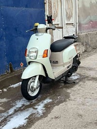 بوليس البيع مكفوله كفالة عامه شرط بيع او مرواس ب ماكس منغولي حديث ونطي...