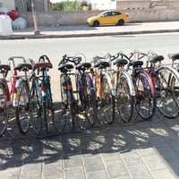 بايسكلات • عدد ٣١ • واسط الصويره