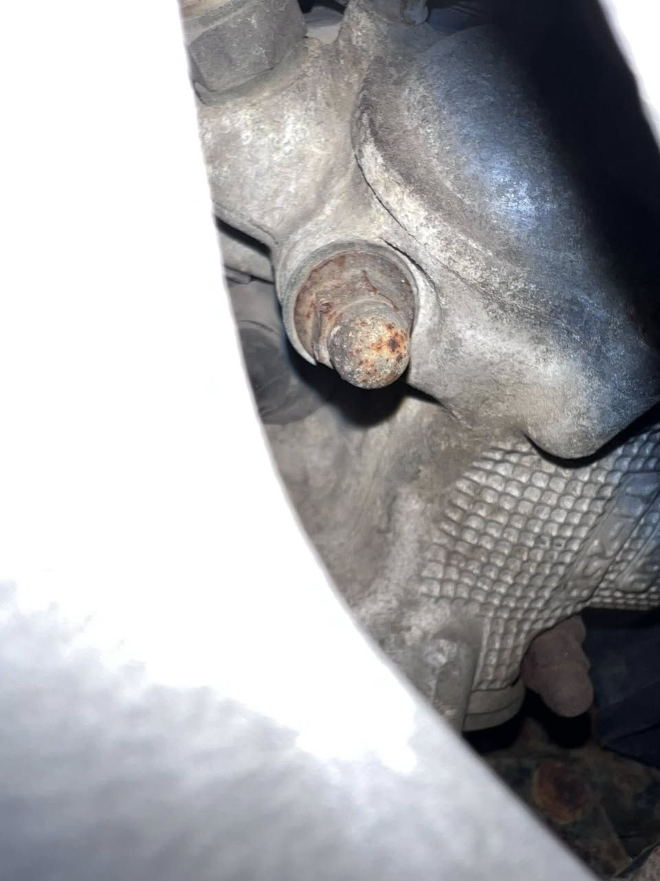 سكنس فحل نوزل للبيع مكفوله مولحه مال رنبه
سعرها 1250 الاعظمية قرب المقبرة الملكية ***********
(مكلف بالنشر)
