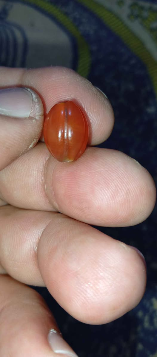 ‎يماني بطيخة‎ كربلاء, العراق


**إذا كنت صاحب هذا الإعلان وتريد حذفه لأي سبب، رجاءا أرسل رسالة إلى الدعم الفني**