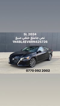 التيما • بدون رقم • ٢٠٢٤/٢٠٢٥