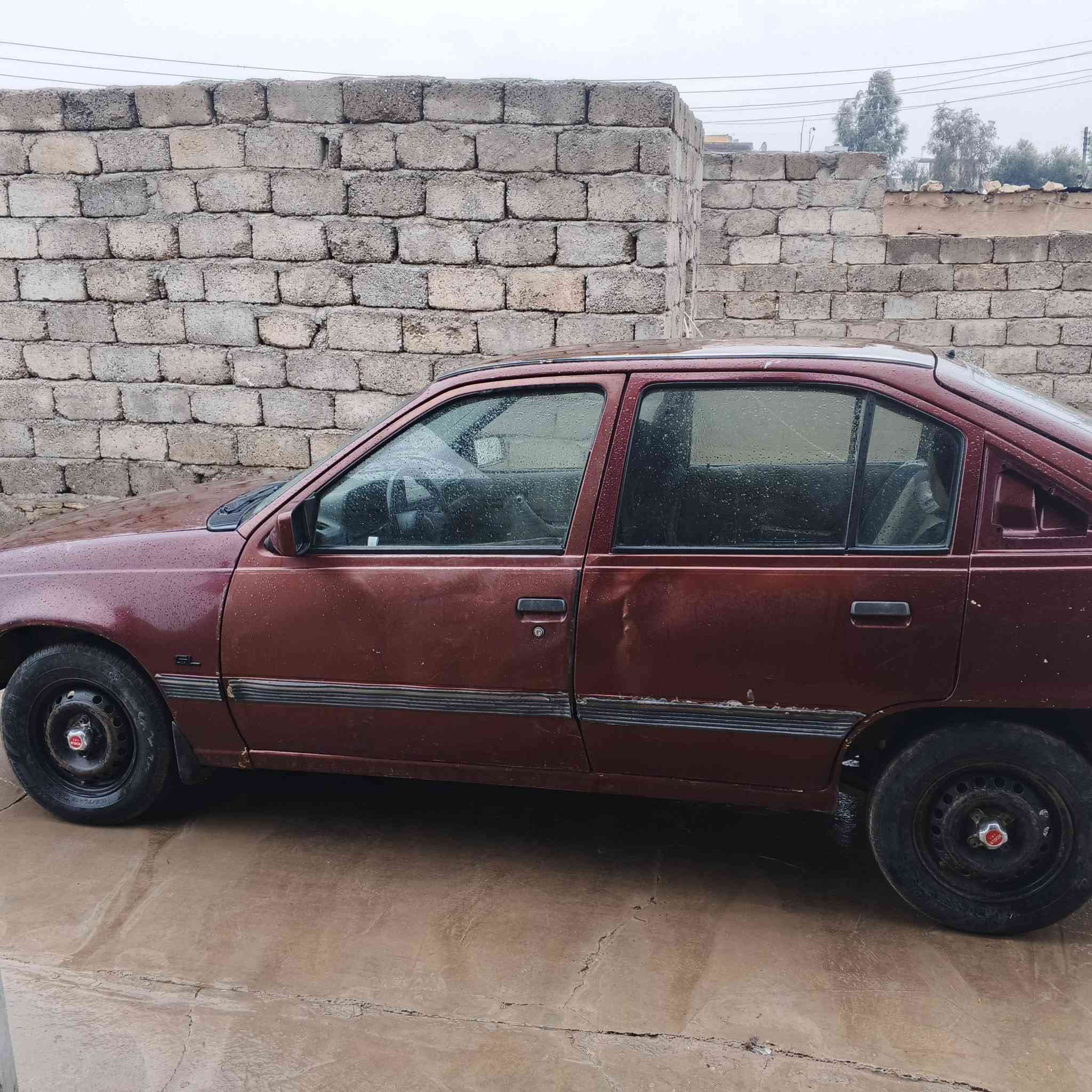 ***********.  كاديت حجم16 رقم الماني
