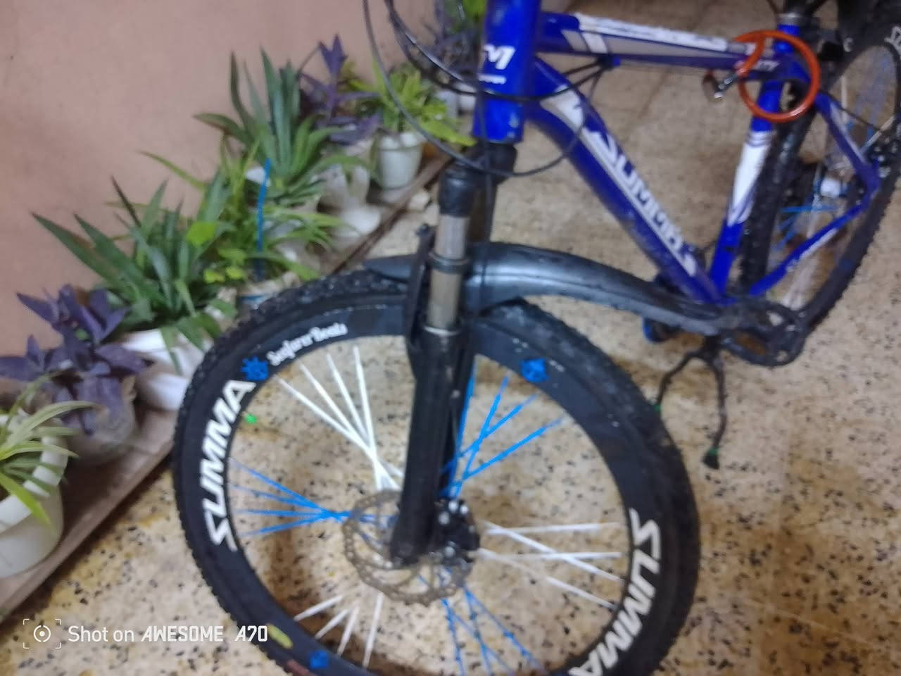 باسكل للبيع سعر 75
رقم الهاتف:***********
