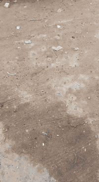 دوج كرفان مديل 2000مكينه وكير كايمه السنوايه جديد تحويل مباشر رقم بغداد انكليزي الاستفسار على الرقم ***********
