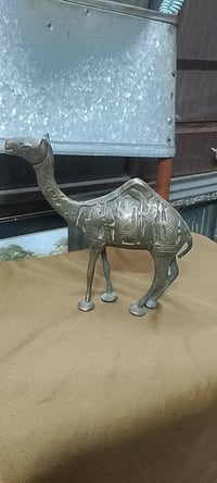 نوادر • جمل قديم • ٢٠ سم