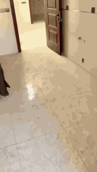 حي الشهداء • مشتمل طابقين • مؤجر