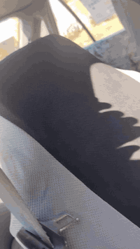 برنس دايو موديل 94
سنويه جديده الحد 2030
محرك 2000 كير اوتوماتيك خير من الله
***********
