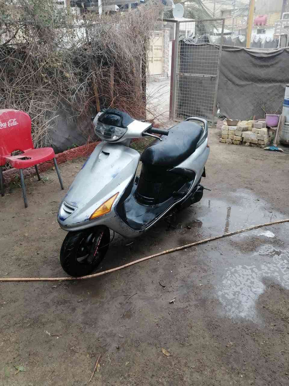 فرفشه فحل مامفتوحه لبيع السعر ٣٧٥نجف حي القادسية ***********
