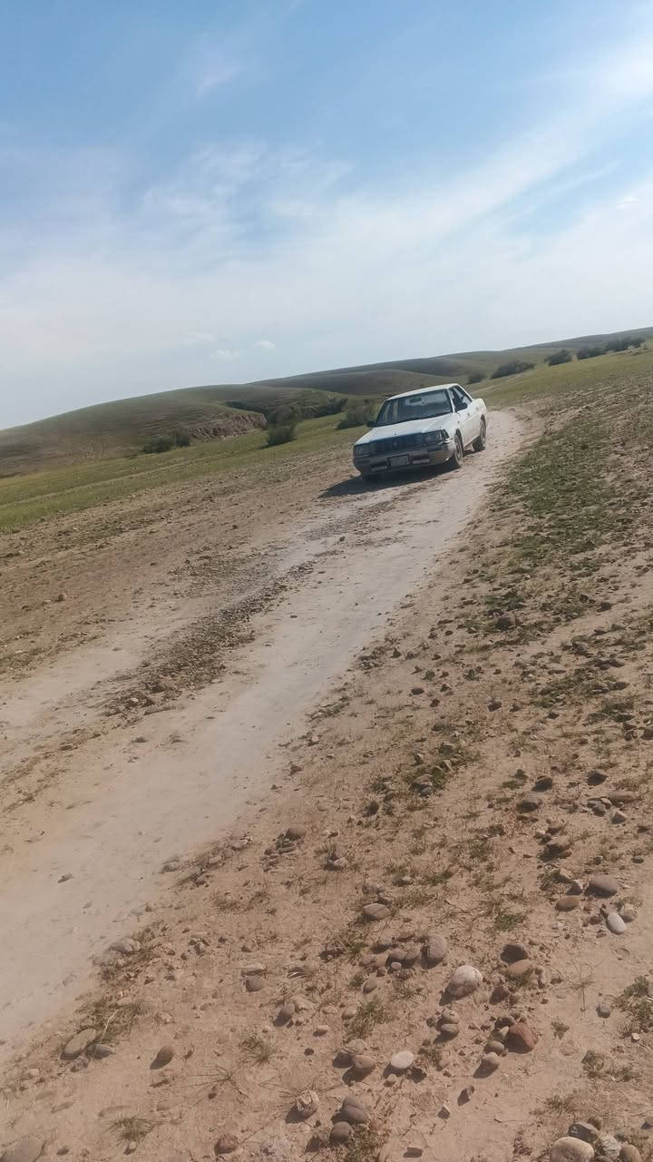سلام عليكم
هارتوب89 كير ومحرك بطه 2500 السيارح محتاجة صدر وترتيبات داخل رايدها ب 30 او مراوس رقم انبار للاستفسار
ر ‏‪***********‬‏
