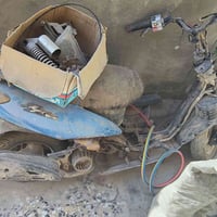 دراجة • هور رجب • بغداد