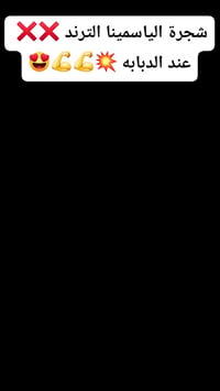 شجرة ياسمينا • عند الدبابه • جاليري رحيم