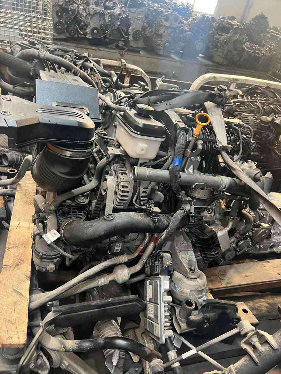 يالله تم كص جنسيس كهرباء موديل ٢٠٢٤تم كص جنسيس موديل ٢٠١٧ تم توفير محركات جنسيس موديل ٢٠٠٩لحد موديل ٢٠٢٥ 
العنوان ديوانيه التقيه ثالثه على طريق النجف مقابل بانزين خانه القصواء مجمع بشار البديري 
زيودي البديري ***********
زيودي ***********
***********زيودي
