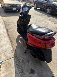 فراشه فحل للبيع رمبه كل نقص مابيها بالعماره للإستفسار 07705785397