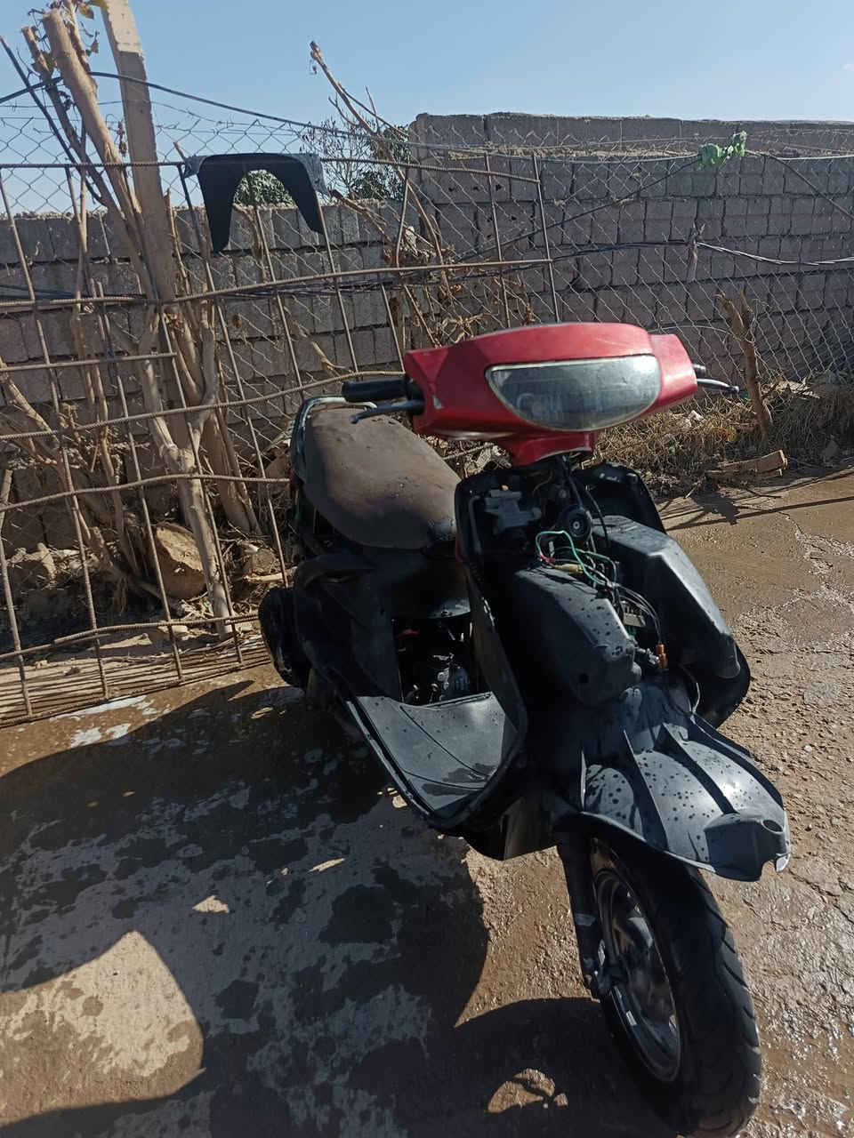 سلام عليكم  دراجه فراشه   للبيع محرك  لاتخبير لاتنقيص ناعمه   خير من الكهربائيات   شغاله هندر سلف   لايتات  بك لايت اشاير هورن كله تمام  كفرات موجود    شراي بيك خير وتدلل *********** واتساب فقط....   او ادخل خاص👍🏻
