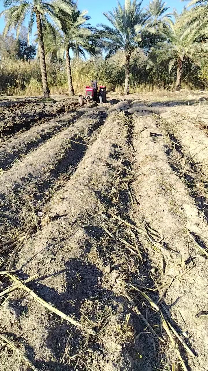 يالله سلام عليكم عنتر للبيع بابل السده الهندي رقم بي واتساب ***********
