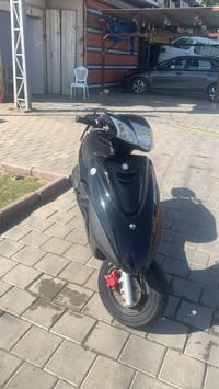 ببغاء • زيرو • كفاله