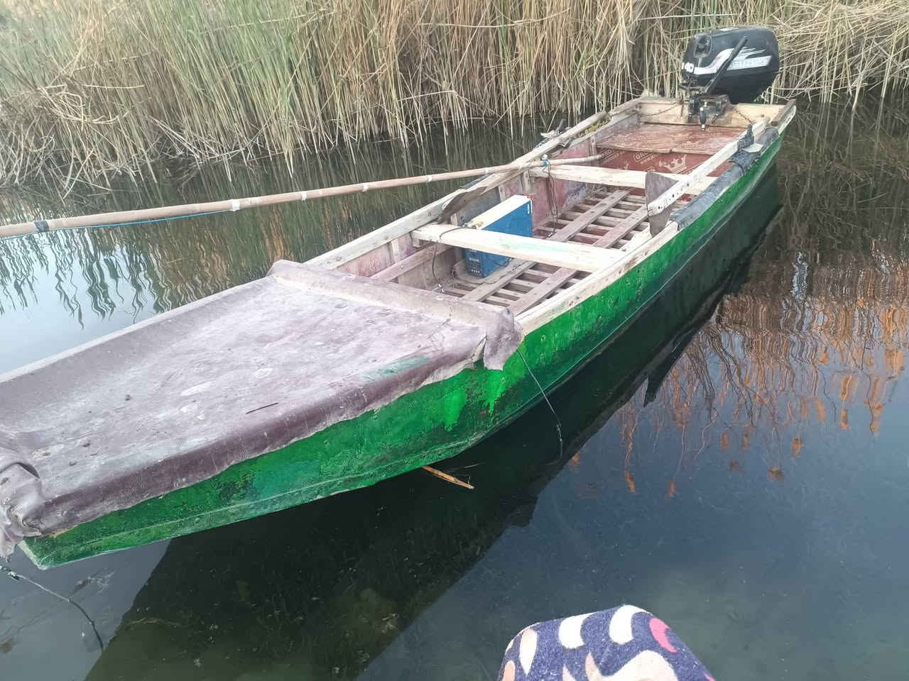 مكينه سازوكي 40 كامله للبيع السعر خاص


**إذا كنت صاحب هذا الإعلان وتريد حذفه لأي سبب، رجاءا أرسل رسالة إلى الدعم الفني**