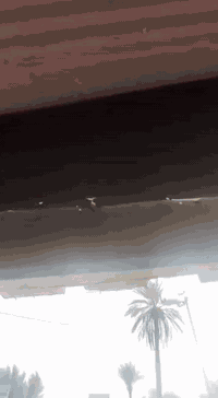 حداده كافة انواع سيارات عنوان جند المجهول مقابيل شارع الاطباء
امريكي _كوري_صيني_ايراني_ياباني
عنوان جند المجهول مقابيل شارع الاطباء ***********بي واتساب
