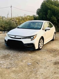 شاشه كبيره • كامره دواره • ايكو