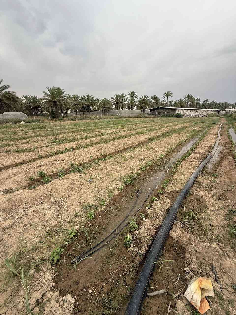 السلام عليكم ارض زراعية مساحتها 1 دونم و200متر  تقع في قضاء بلد وصالحة للاستثمار وقريبة جدا عالمدخل وخلفها مبنى مديرية مرور وكلية حكومية  وسعر مناسب جدا للاستفسار   ***********
