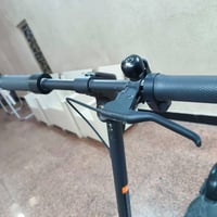 نينبوت • استخدام شهر • بصرة المعقل