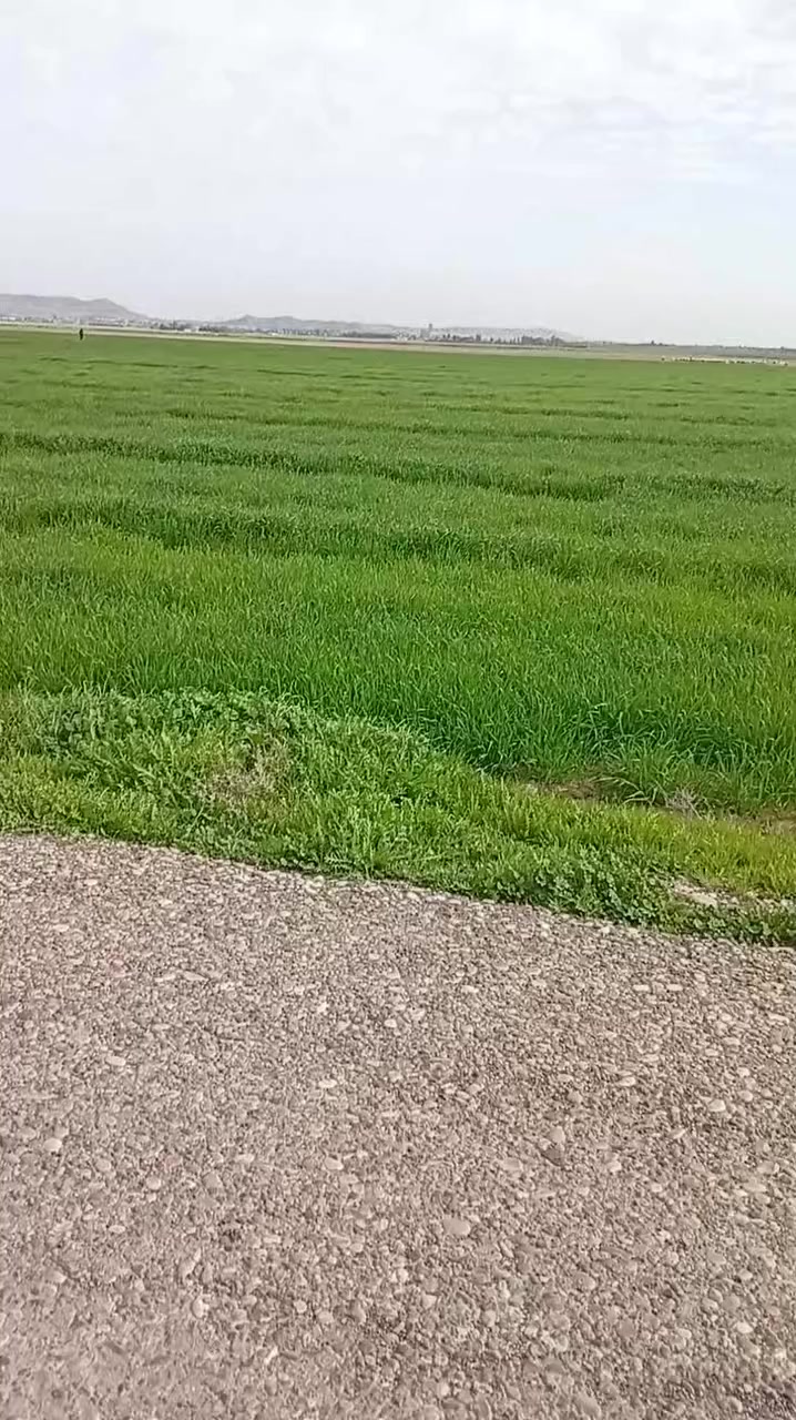 ارض  زراعي طانو طريق شاسوان على شارع الرئيسي 8 دونم من شارع الرئيس كركوك بغداد تبعد قاع ثلاث دقائق ما اجاوب على التعليقات اجاوب على الخاص ***********
