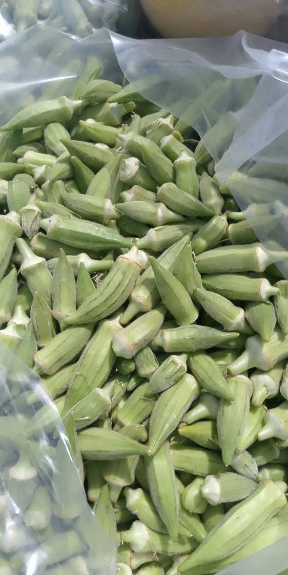 سلام عليكم تتوفر بذور بانيا درجه اولى متعهده سعر 25عنوان مشروع المسيب


**إذا كنت صاحب هذا الإعلان وتريد حذفه لأي سبب، رجاءا أرسل رسالة إلى الدعم الفني**