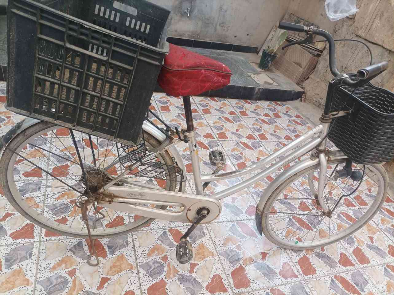 سلام عليكم باسكل حجم 26نظيف سعر 60بي مجال لبيع او مراوس حجم 27 مكان حصوه لاتصال ***********
