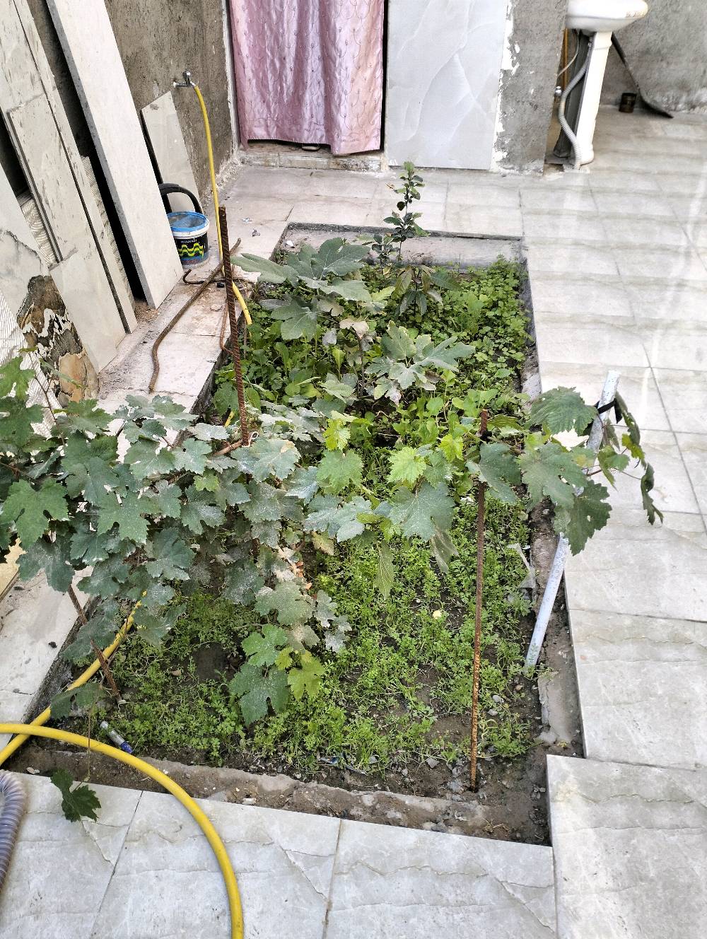 بيت 200متر طابو صرف بالنجف حي النداء شارع قمبر مطلوب للاسكان 70مليون ينقصن من السعر 