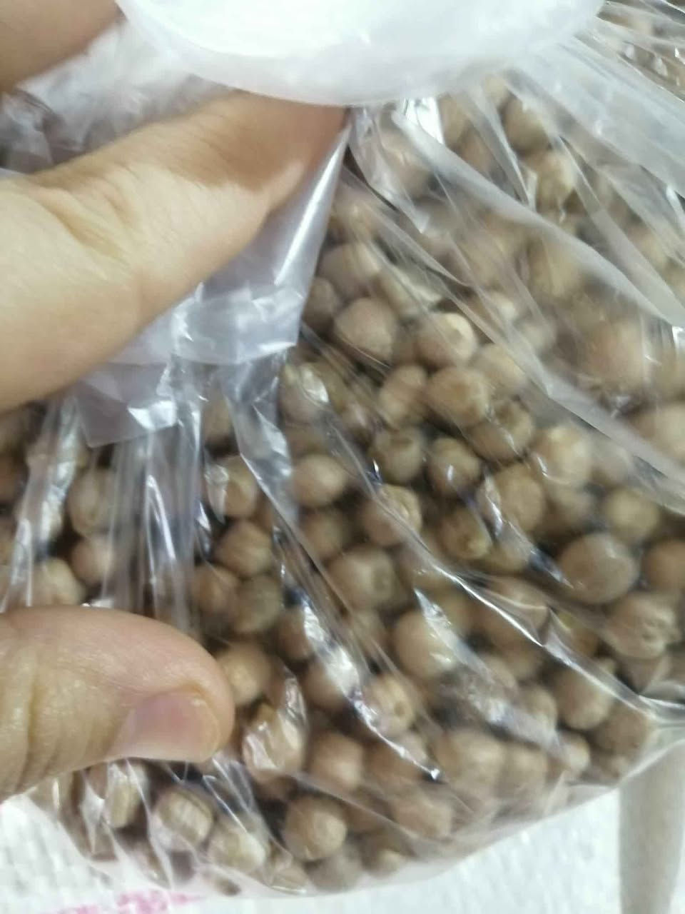 كونيه تمن ب50 كربلاء, العراق


**إذا كنت صاحب هذا الإعلان وتريد حذفه لأي سبب، رجاءا أرسل رسالة إلى الدعم الفني**