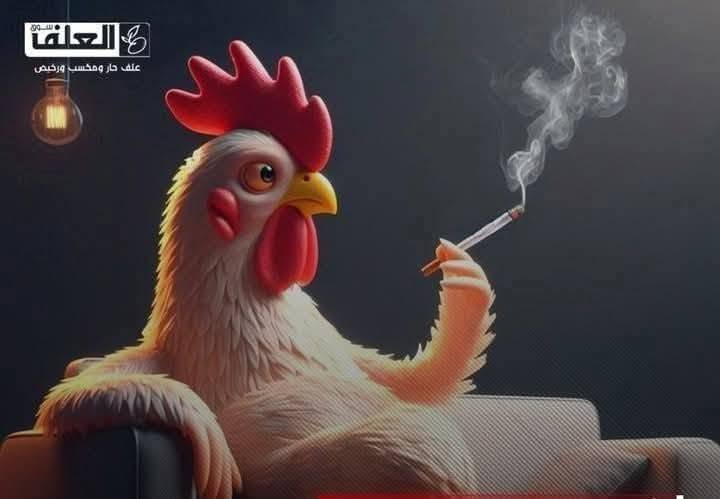 السلام عليكم شباب عندي دجاج حي من 2كيلوين لحد ار4 خش4

كيلوات دجاجه رقم واحد 

قاطع حي السلام مجاور قاعه الحديد  ابو ايمن

بل القرب من بيت جمعه المساح

***********

محل  ايمن الجبوري           

@إشارة  

،🐔🐓
