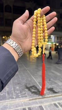 مسابيح كهربائية • بولوني