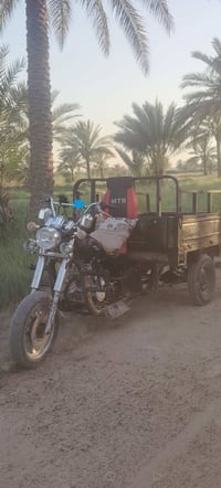 ستوته • موديل ١٤ • اوراق اصوليه