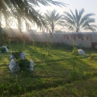 المدائن المشروع • ٧٨٠م • طابو باسم