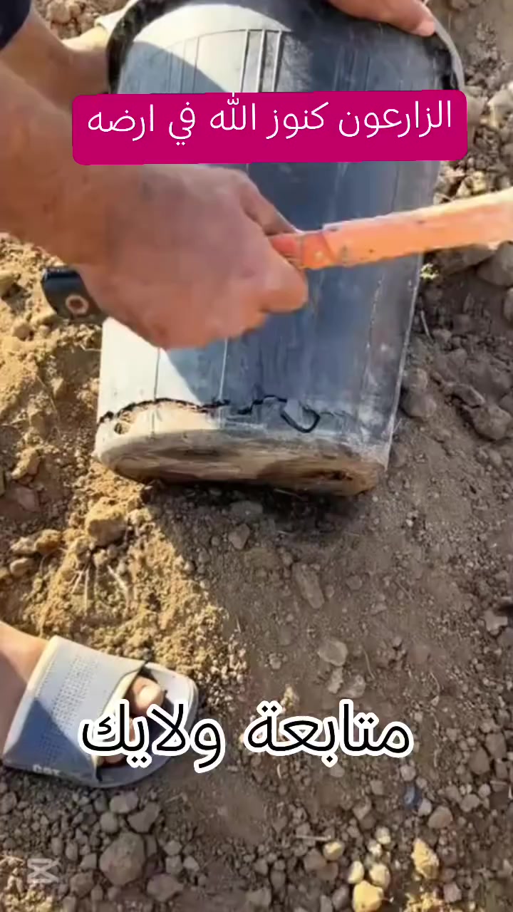 الزراعون كنوز الله في ارضه

#نخيل_عراقي #فسائل_نخيل #بيع_نخيل #تمور_عراقية #زراعة_العراق #زراعة #يزرع #يزرعون #مزارع #مزارعون


**إذا كنت صاحب هذا الإعلان وتريد حذفه لأي سبب، رجاءا أرسل رسالة إلى الدعم الفني**