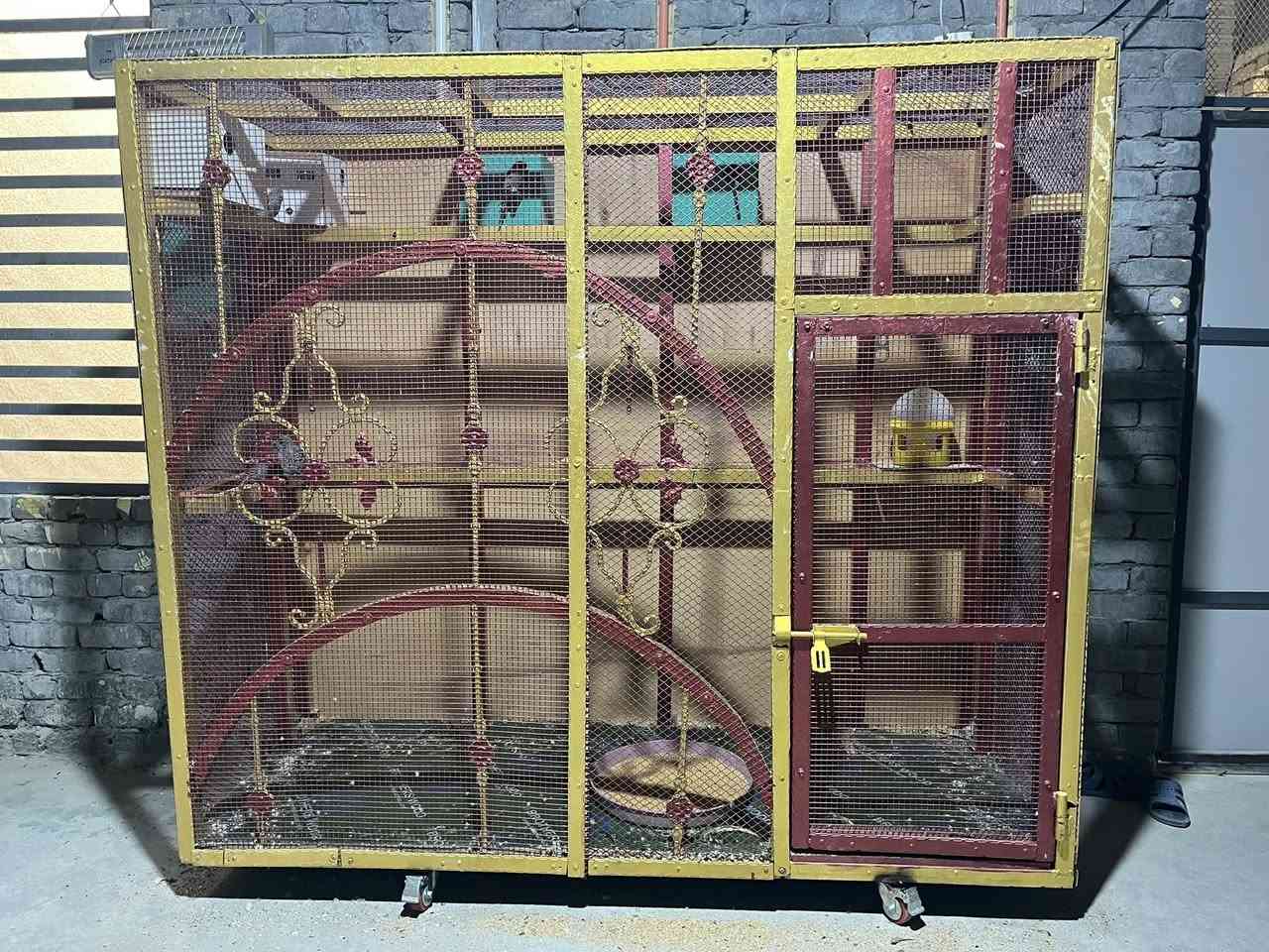 السلام عليكم قفص طيور يرهم لجميع انواع الطيور حجمه: الارتفاع 185cm / والعرض77cm/ والطول 220 عنواني ميسان حي الغدير الي يريده يتصل ***********
