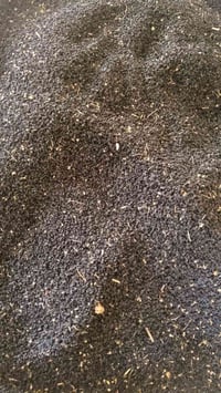 موجود بذور بصل ابيض  للبيع الستفسار     07807712587