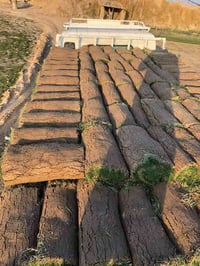 ثيل هندي درجه اوله توصيل كافت محافظات مع كادر عمل فرش وتاسيس مرشات 077...