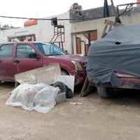 بيكمات • ٢٠١٤ • سانك يونك