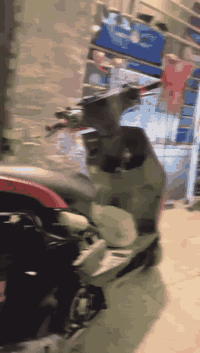 سلام عليكم شباب عندي سكنس فحل بلاديه كفاله نقوصات بصيطه للبيع او مراوس تريده مال لعب تريده كفر كامل عادي مكاني بغداد خاص موجود و واتس اب موجود ***********
