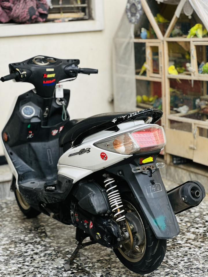 سلام عليكم سكنس فحل للبيع
طلاعات

جويتر رياضي

كور رياضي،بلادي

بوشه 58،بلادي

صالنصه رياضي مميزه

يدات بريك رياضي

كلجات كوسو

دراجه خير من الله شلعه ومعدل مكاني بغداد سعر خاص لموشراي ليطبلي فدوه اروحلكم🩶 للاتصال:***********
