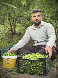 قلم يدوي • زجاج أمريكي • رانية كانيماران