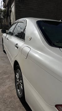 سڵاوی خواتان لێبێت   شاهینەی بـڕاوە  ڕۆیال ساڵۆن  ٢٠٠٥  ٣ دوگمە پەردە ...